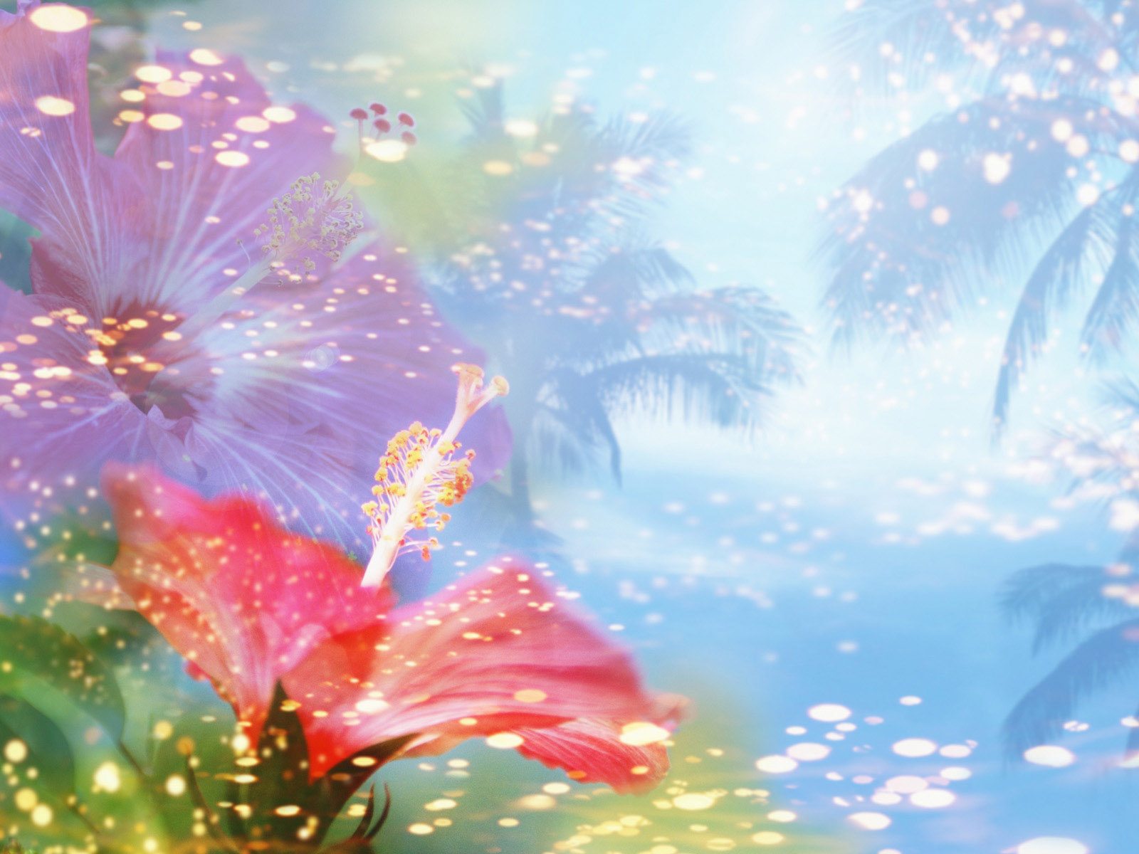 clipart flower backgrounds - photo #38