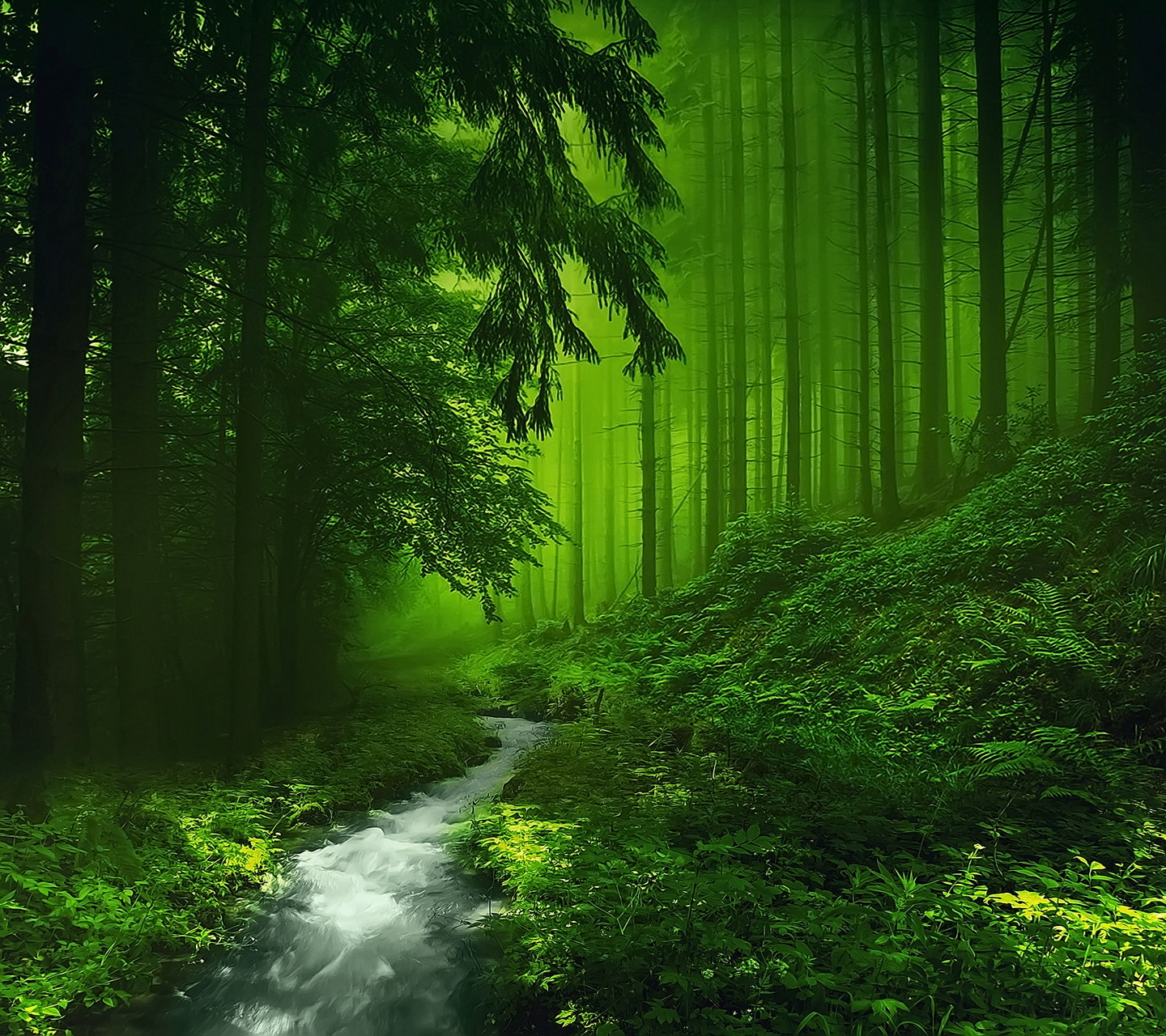 HD Green Forest Wallpaper, Awesome Hd Green Forest Image, #15535