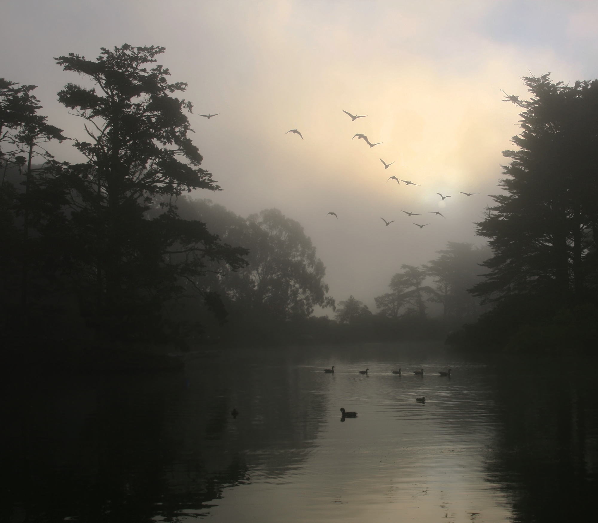 Morning Fog, Early Morning Fog And Mist Image, #20505