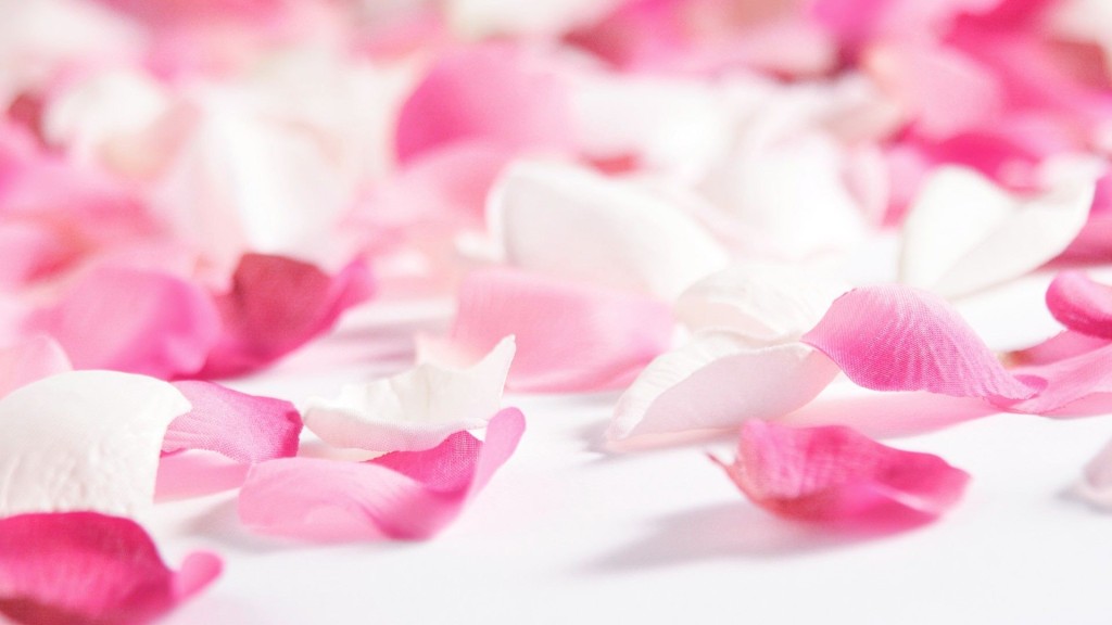 Flower Petals Wallpaper, Red White Flower Petals Wallpaper, #20573