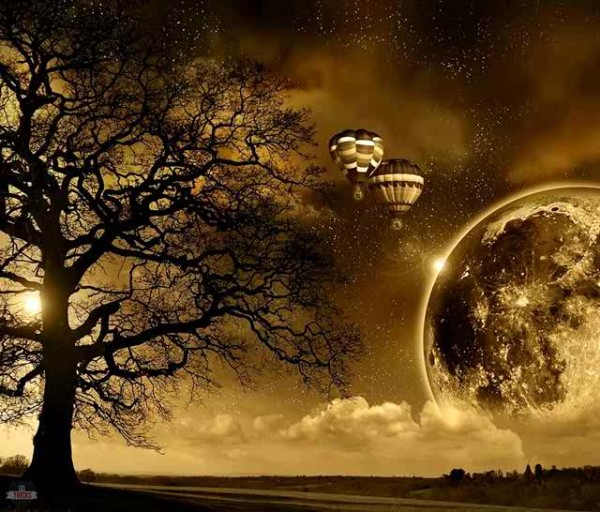 Latest HD Wallpaper, Bottle Latest Hd Wallpaper, #22329