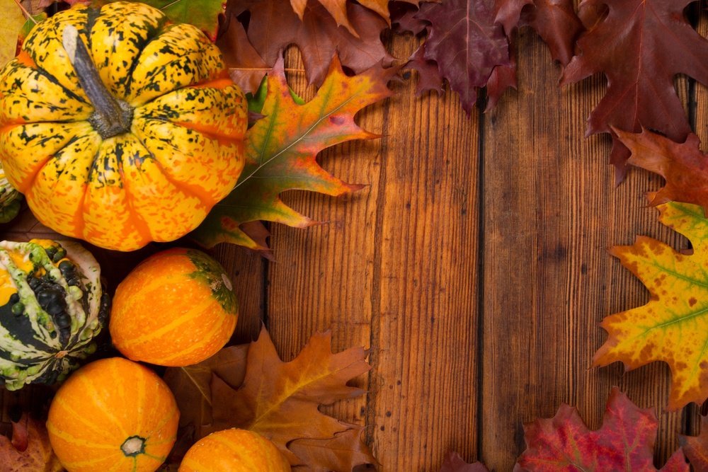 Thanksgiving Image, Wallpaper Of Thanksgiving Image, #23803