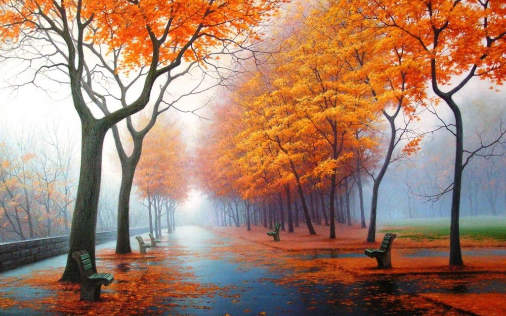 Hd Autumn Wallpapers Awesome Road Hd Autumn Wallpapers 30282