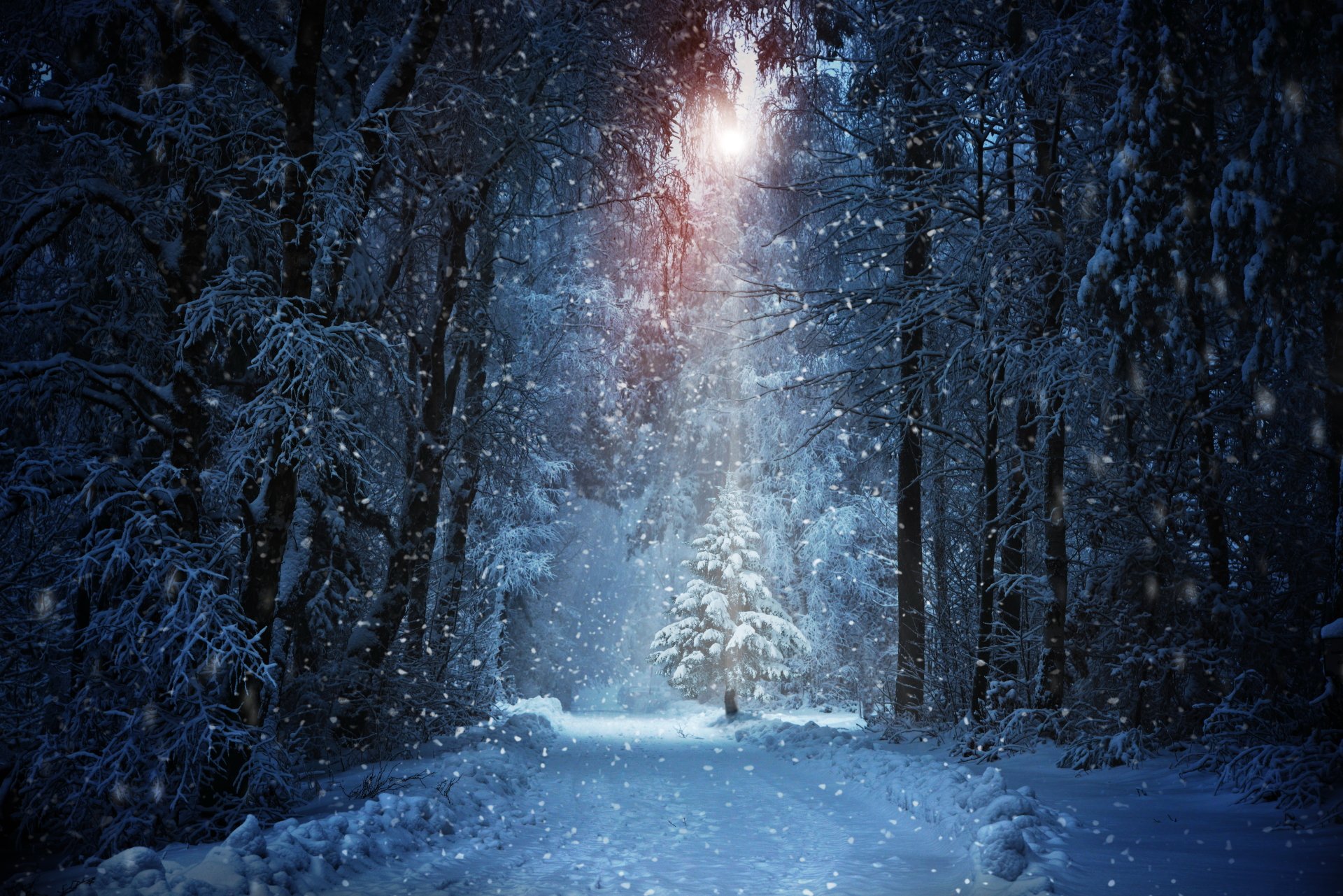 Winter Wallpaper 4K, So Nice Winter Wallpaper 4K, #37532