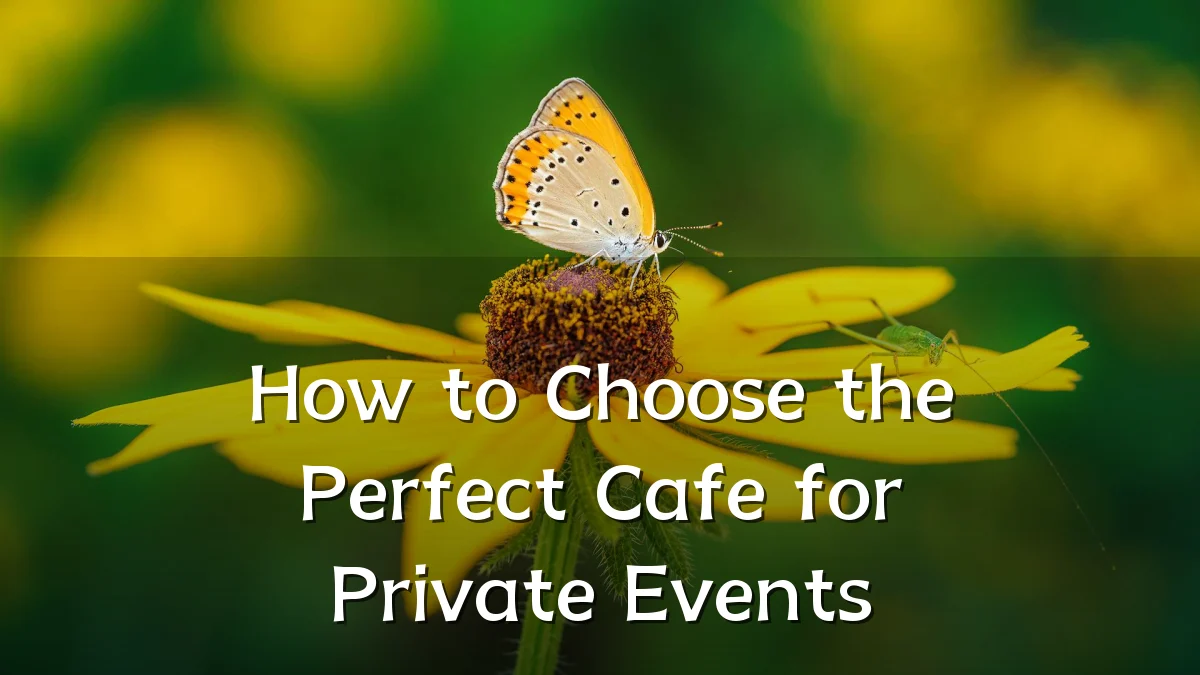 How to Choose the Perfect Cafe for Private Events