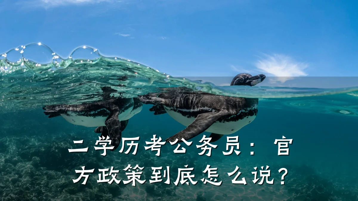 二学历考公务员:官方政策到底怎么说?