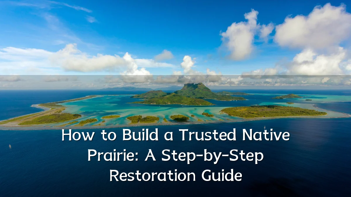 How to Build a Trusted Native Prairie: A Step-by-Step Restoration Guide