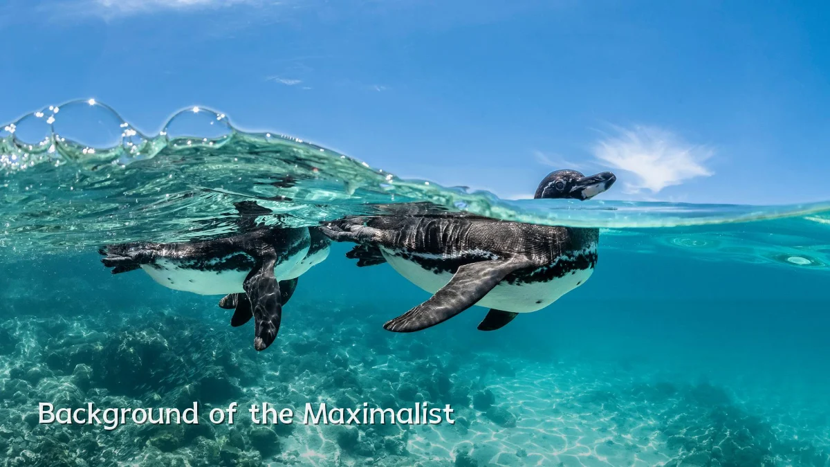 Background of the Maximalist