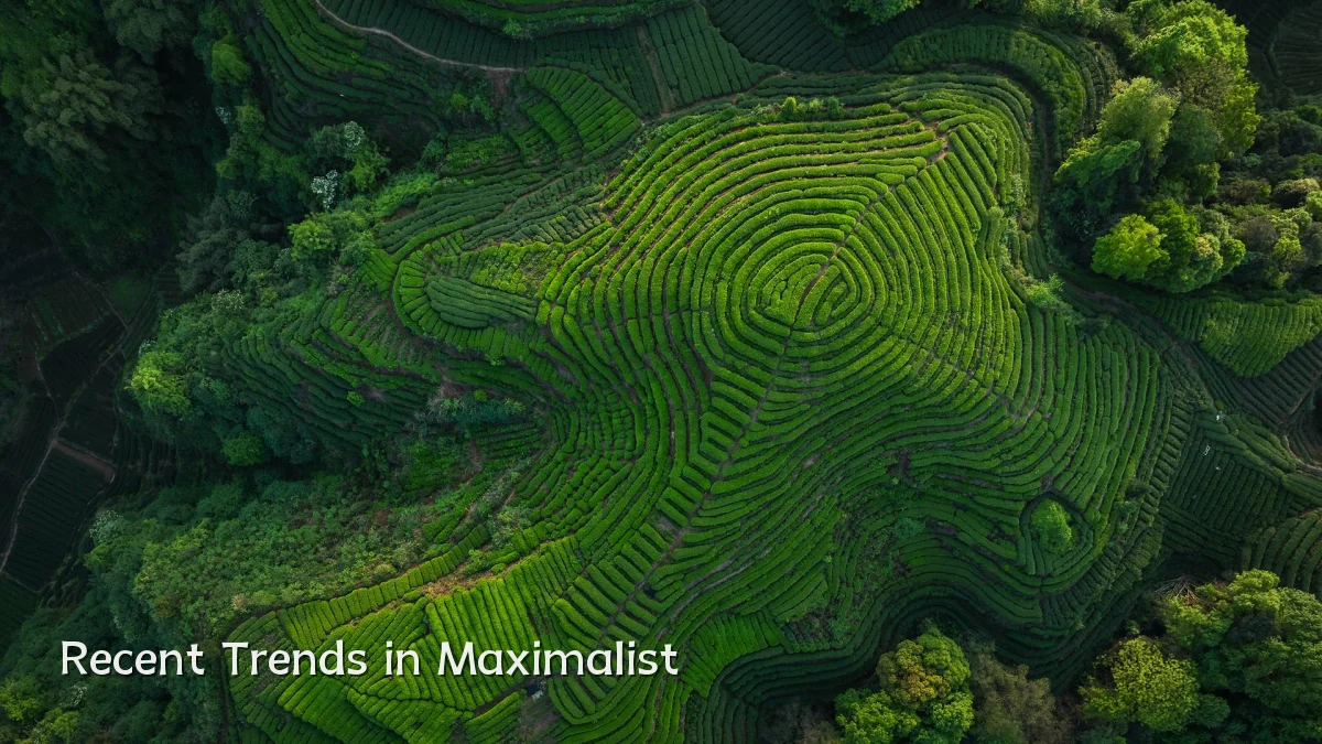 Recent Trends in Maximalist