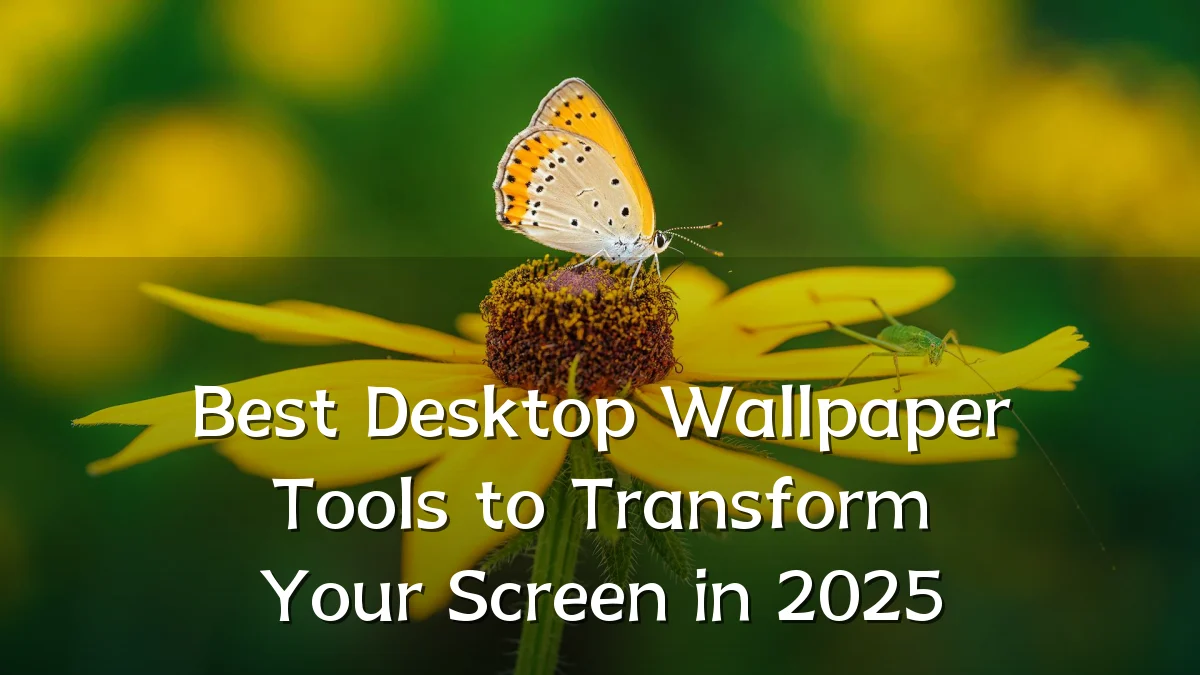 Best Desktop Wallpaper Tools to Transform Your Screen in 2025