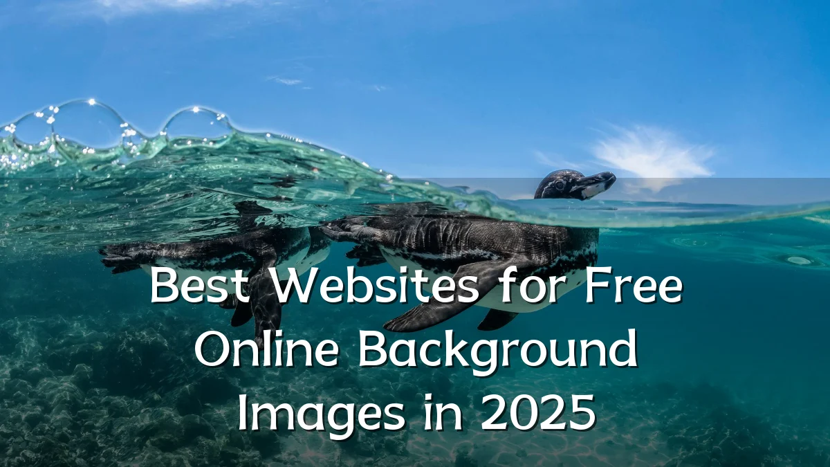 Best Websites for Free Online Background Images in 2025