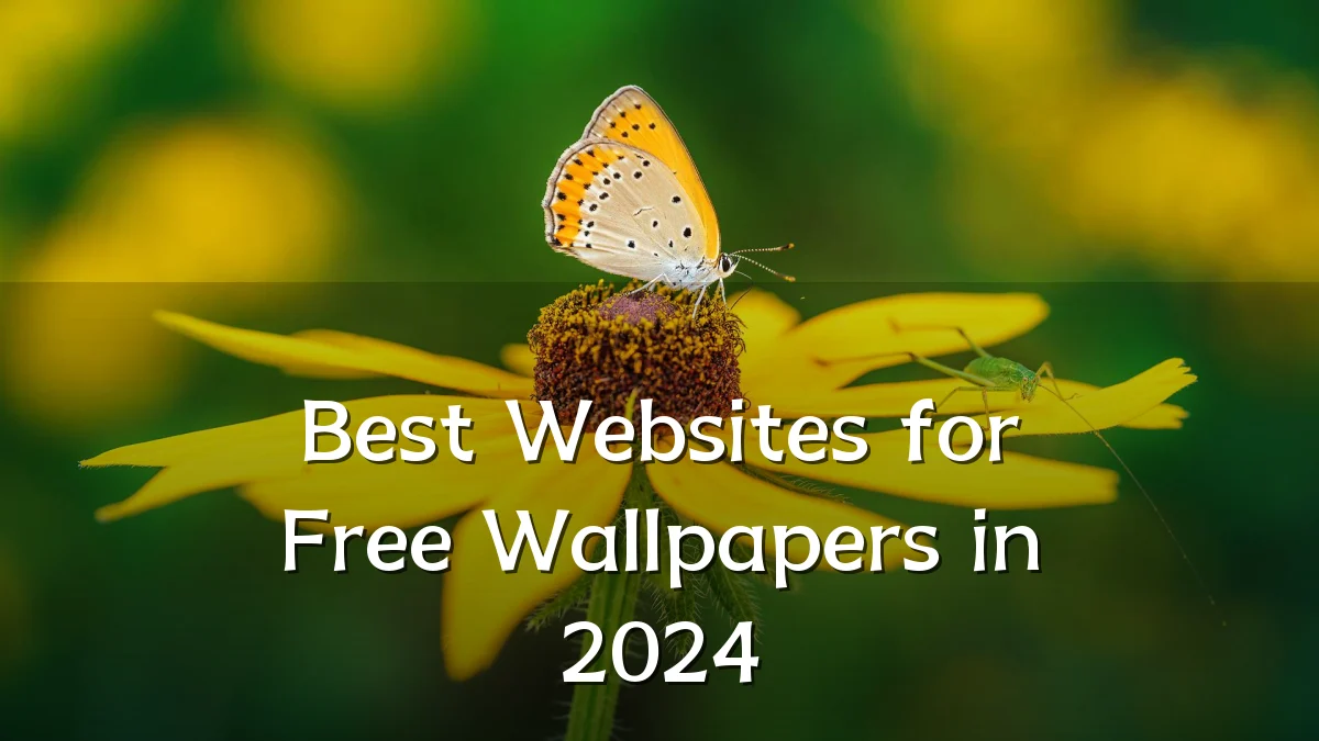 Best Websites for Free Wallpapers in 2024