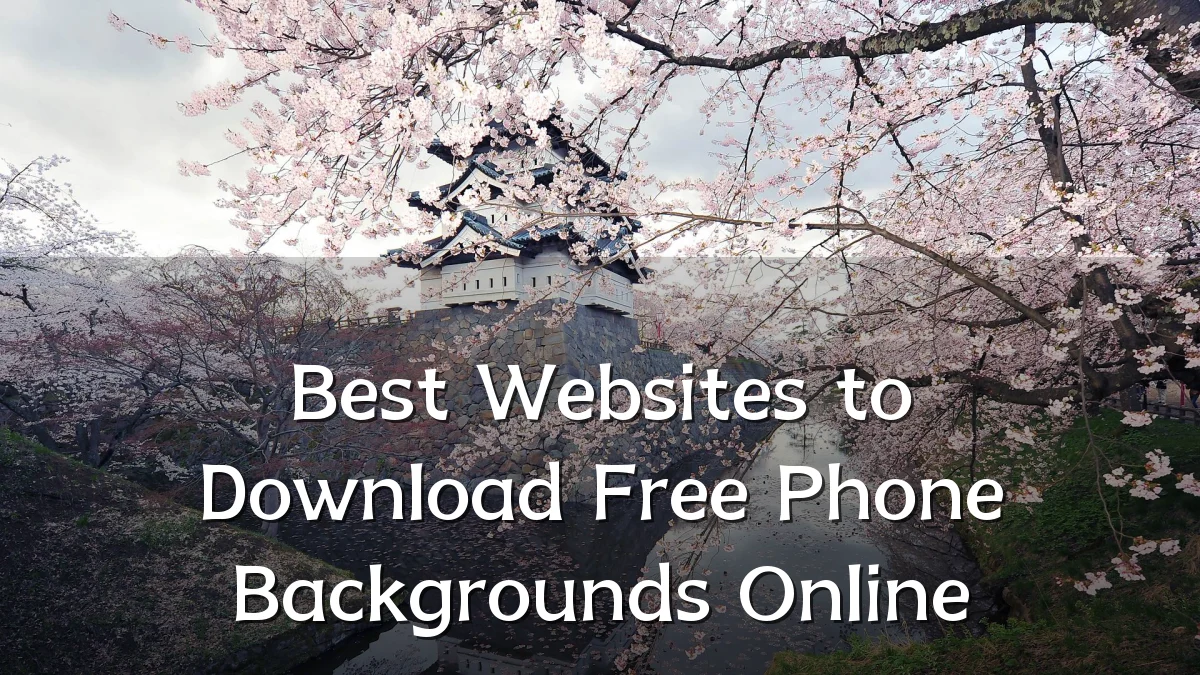 Best Websites to Download Free Phone Backgrounds Online