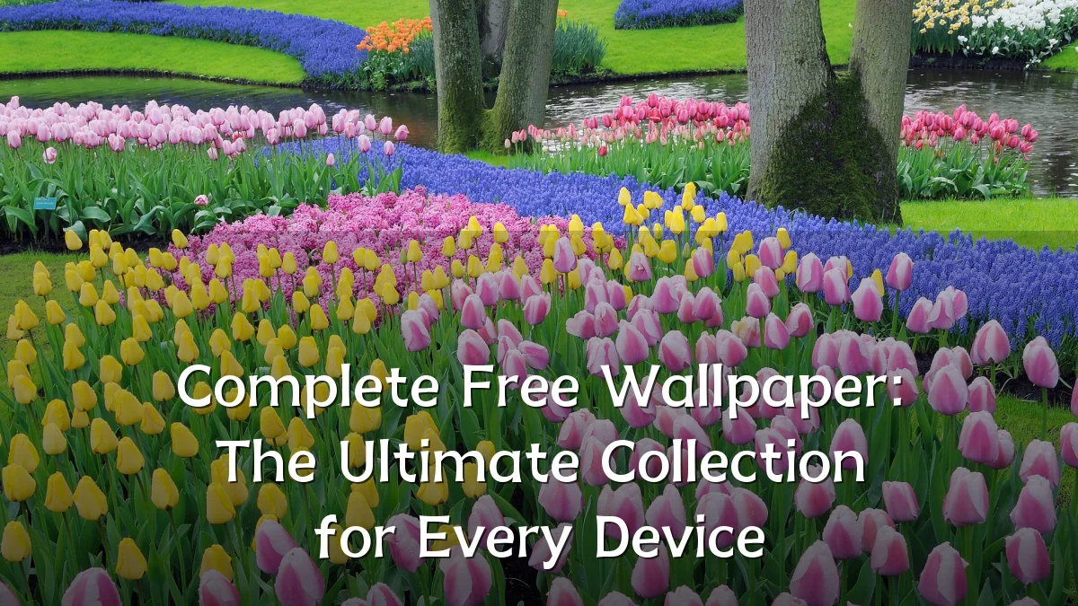 Complete Free Wallpaper: The Ultimate Collection for Every Device