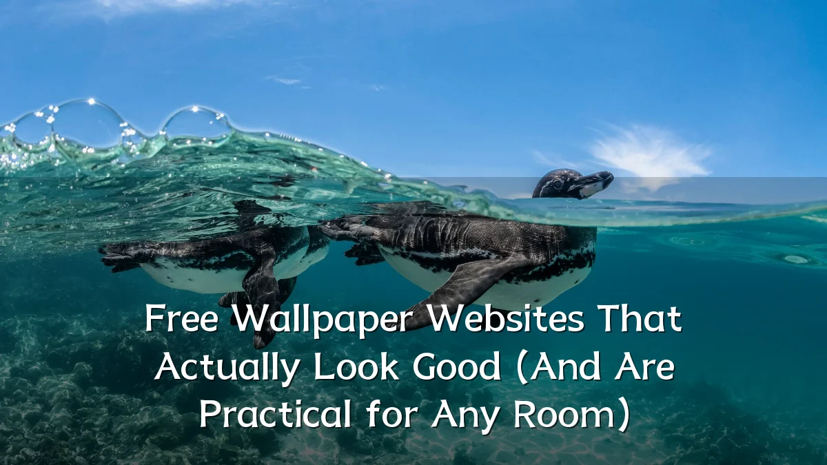 Free Wallpaper Websites That Actually Look Good (And Are Practical for Any Room)