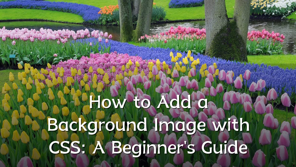How to Add a Background Image with CSS: A Beginner's Guide