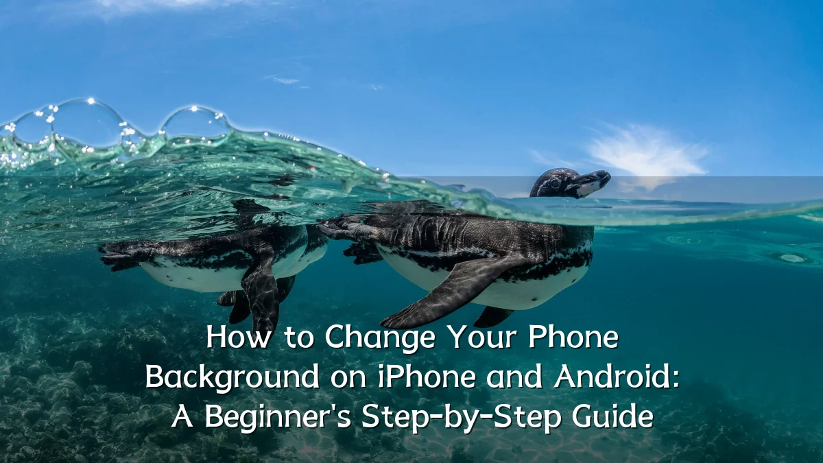 How to Change Your Phone Background on iPhone and Android: A Beginner's Step-by-Step Guide