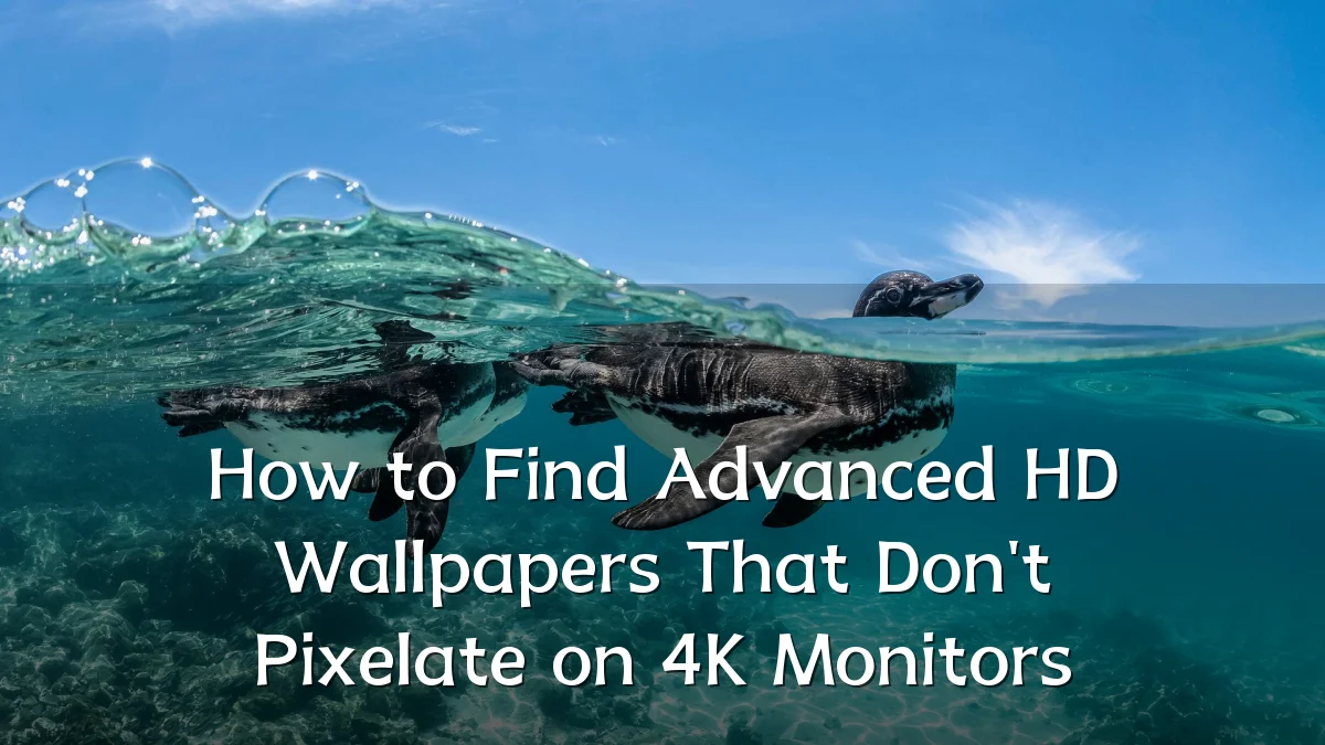 How to Find Advanced HD Wallpapers That Don't Pixelate on 4K Monitors