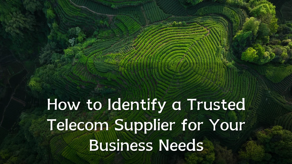 How to Identify a Trusted Telecom Supplier for Your Business Needs