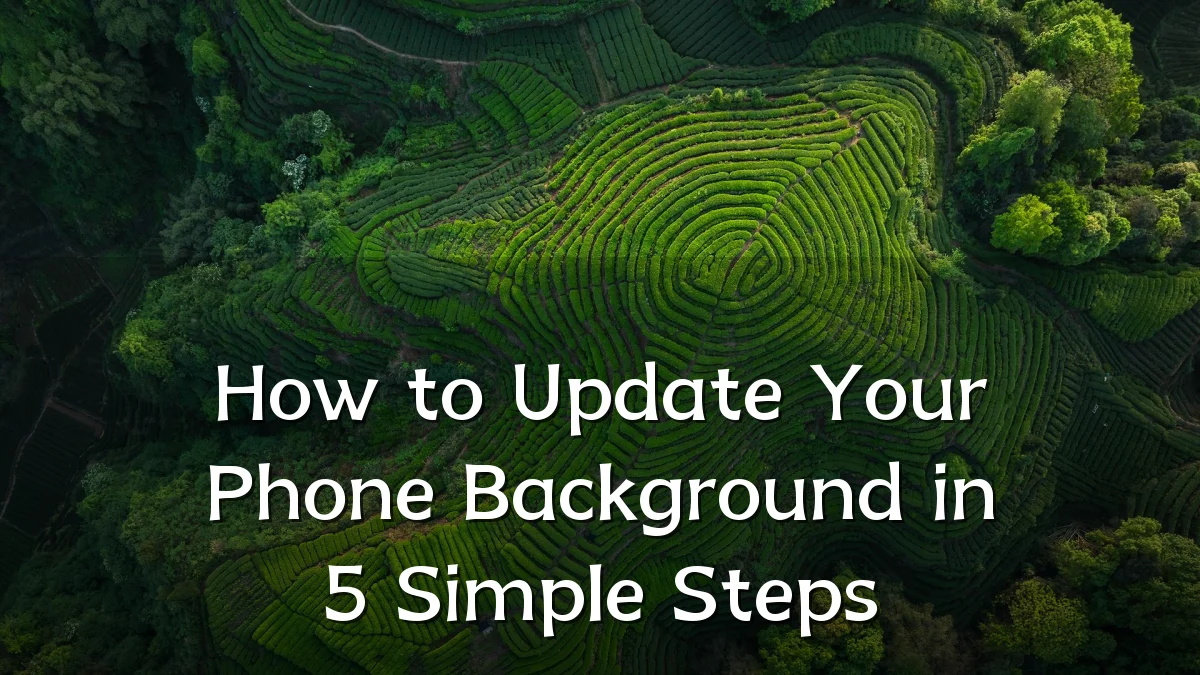 How to Update Your Phone Background in 5 Simple Steps