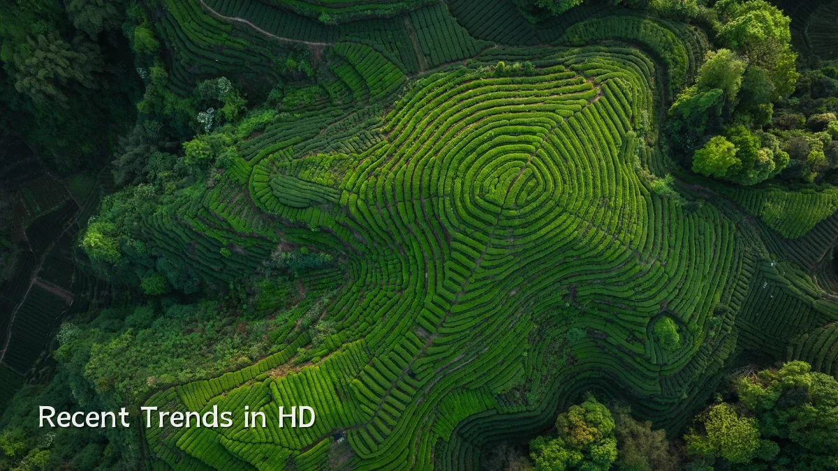 Recent Trends in HD