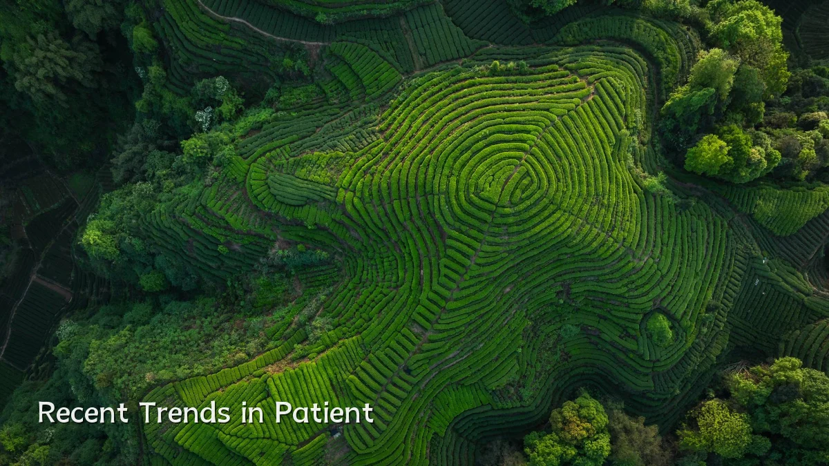 Recent Trends in Patient