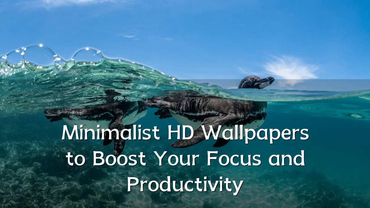 Minimalist HD Wallpapers to Boost Your Focus and Productivity