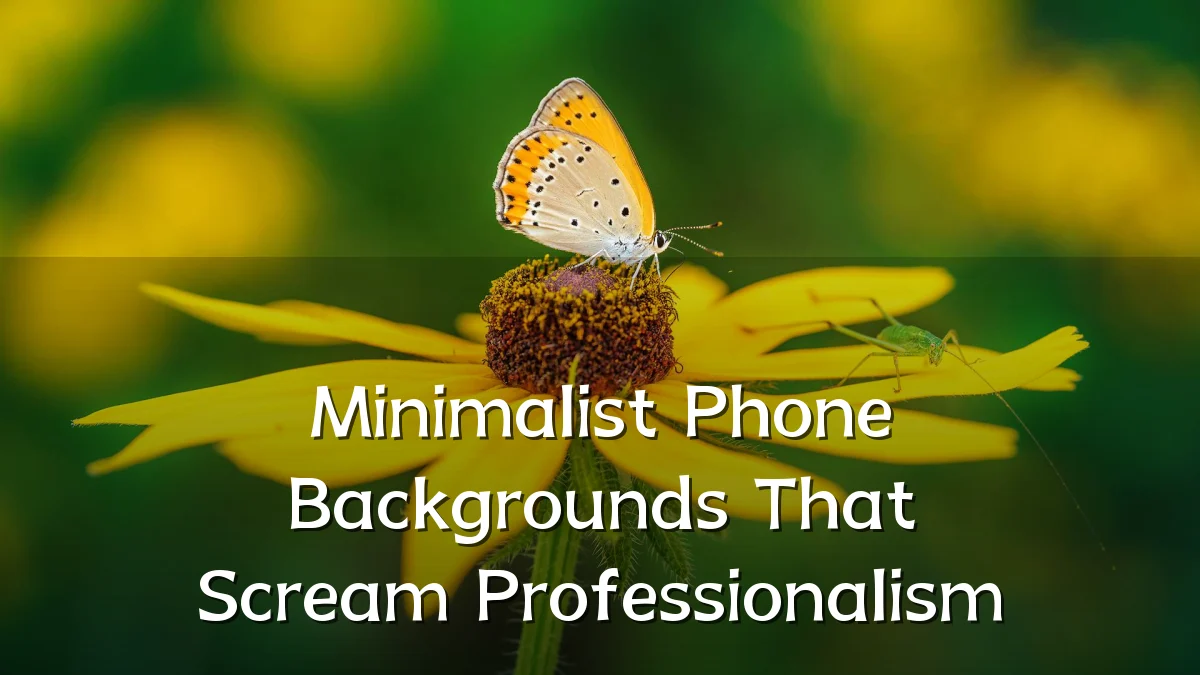 Minimalist Phone Backgrounds That Scream Professionalism
