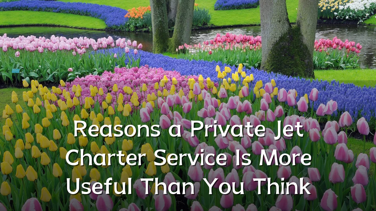 Reasons a Private Jet Charter Service Is More Useful Than You Think