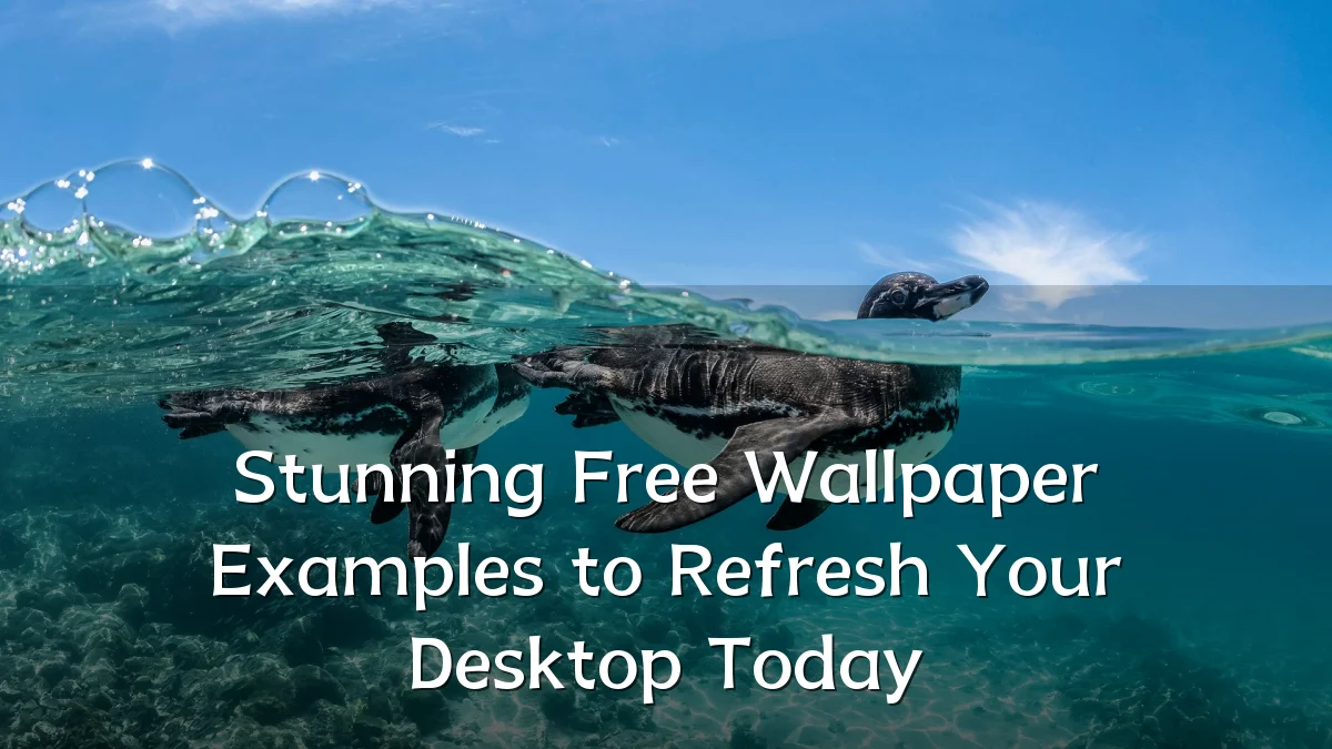 Stunning Free Wallpaper Examples to Refresh Your Desktop Today
