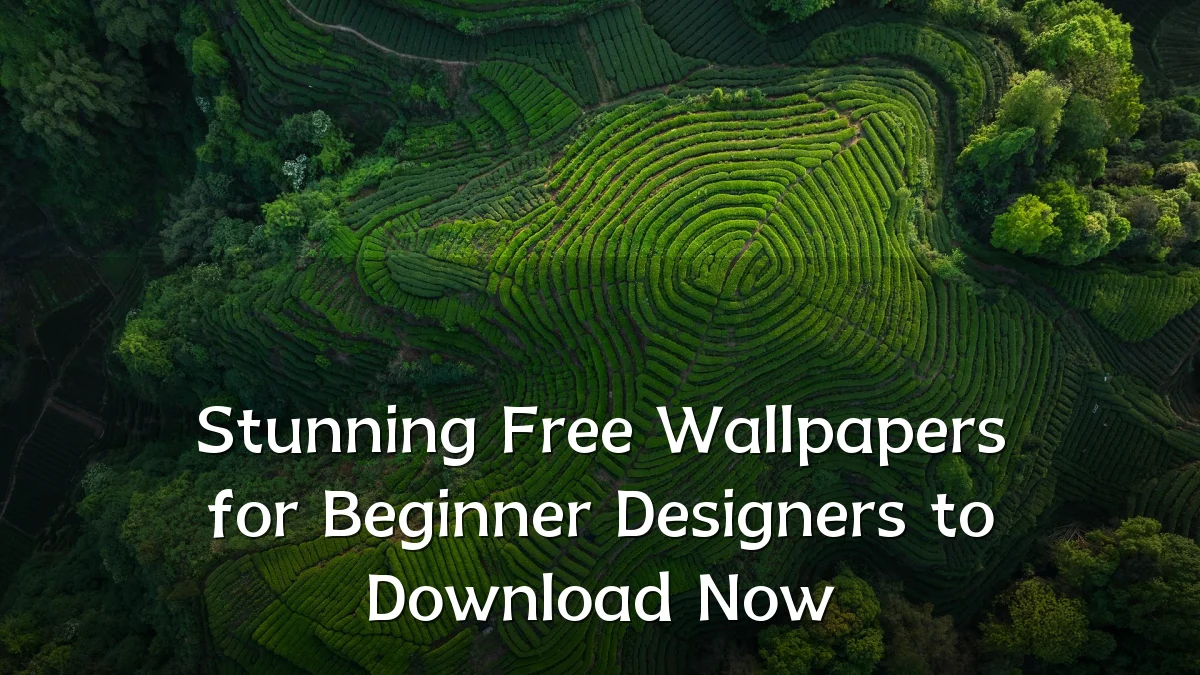 Stunning Free Wallpapers for Beginner Designers to Download Now
