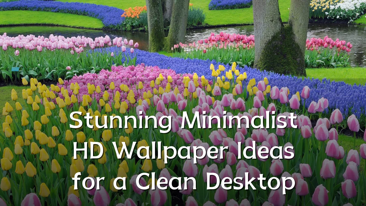 Stunning Minimalist HD Wallpaper Ideas for a Clean Desktop