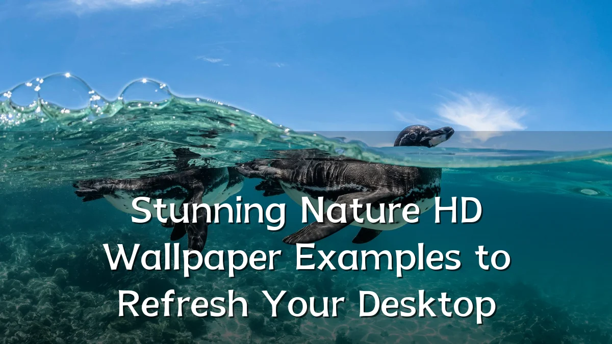 Stunning Nature HD Wallpaper Examples to Refresh Your Desktop