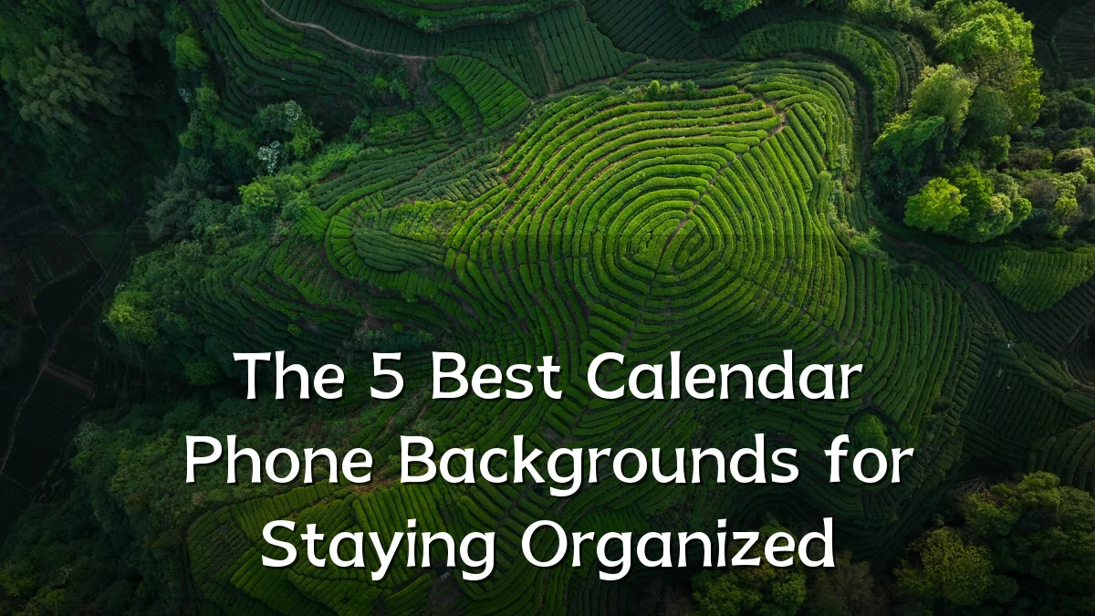 The 5 Best Calendar Phone Backgrounds for Staying Organized