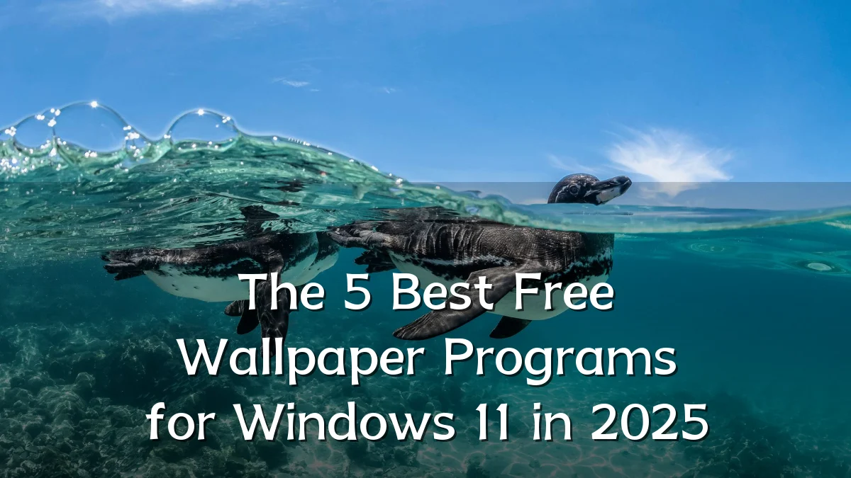 The 5 Best Free Wallpaper Programs for Windows 11 in 2025