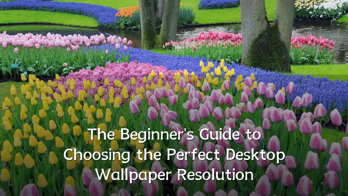 The Beginner's Guide to Choosing the Perfect Desktop Wallpaper Resolution