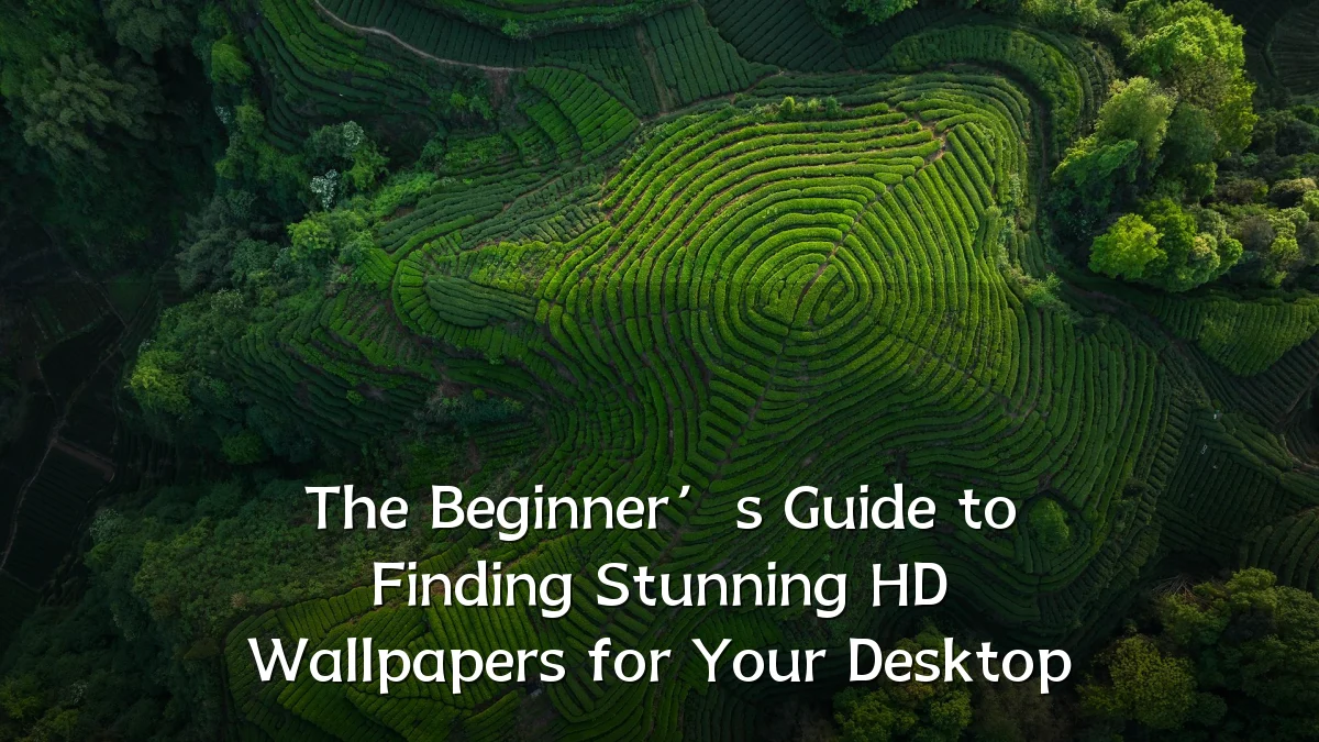 The Beginner’s Guide to Finding Stunning HD Wallpapers for Your Desktop