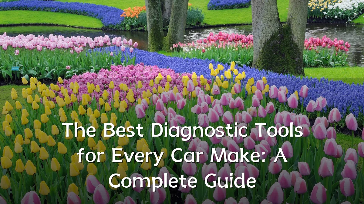 The Best Diagnostic Tools for Every Car Make: A Complete Guide