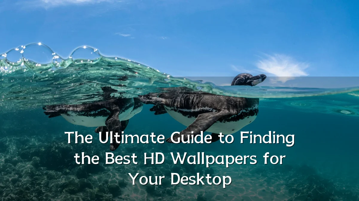 The Ultimate Guide to Finding the Best HD Wallpapers for Your Desktop