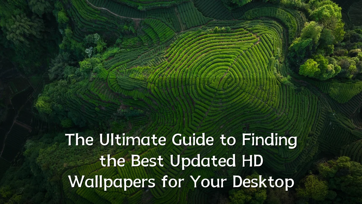 The Ultimate Guide to Finding the Best Updated HD Wallpapers for Your Desktop