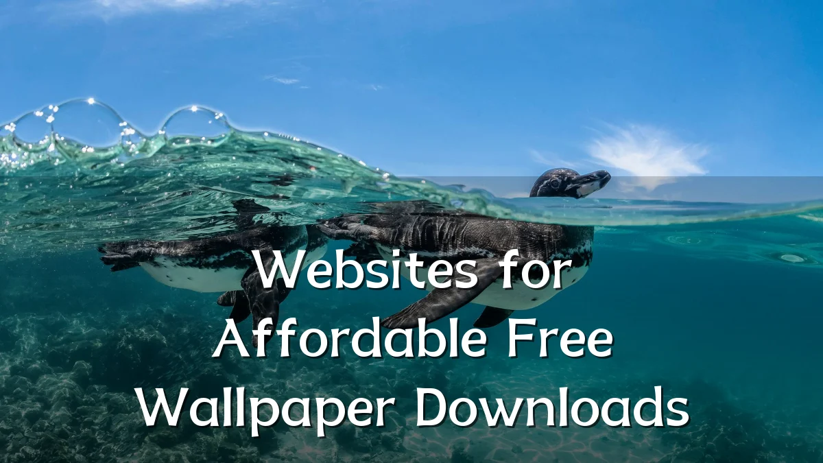 Websites for Affordable Free Wallpaper Downloads