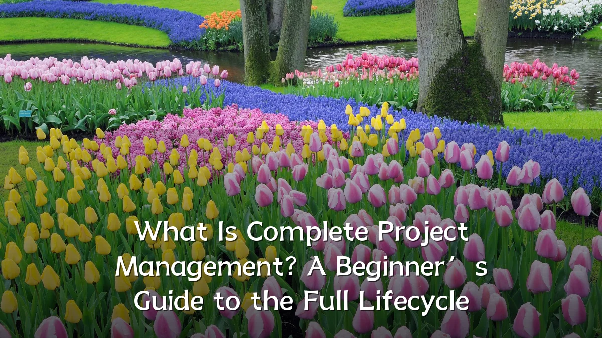 What Is Complete Project Management? A Beginner’s Guide to the Full Lifecycle