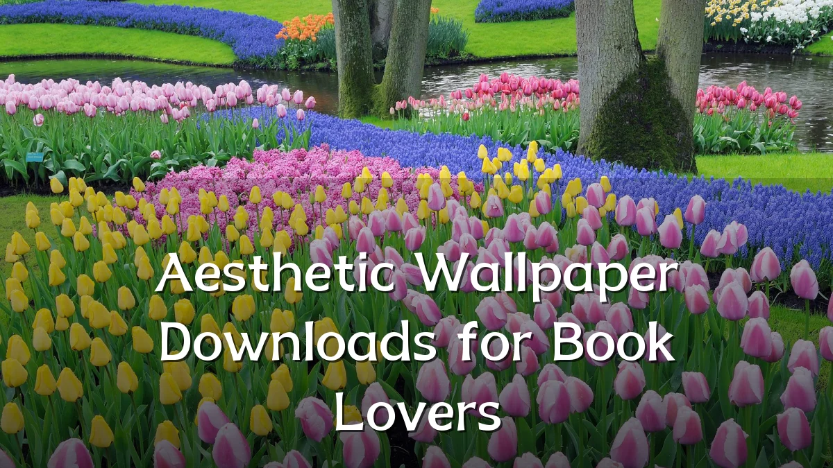 Aesthetic Wallpaper Downloads for Book Lovers