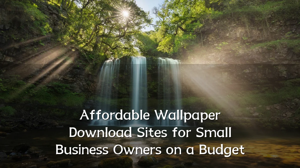 Affordable Wallpaper Download Sites for Small Business Owners on a Budget