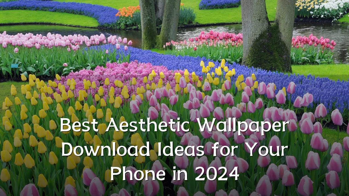 Best Aesthetic Wallpaper Download Ideas for Your Phone in 2024