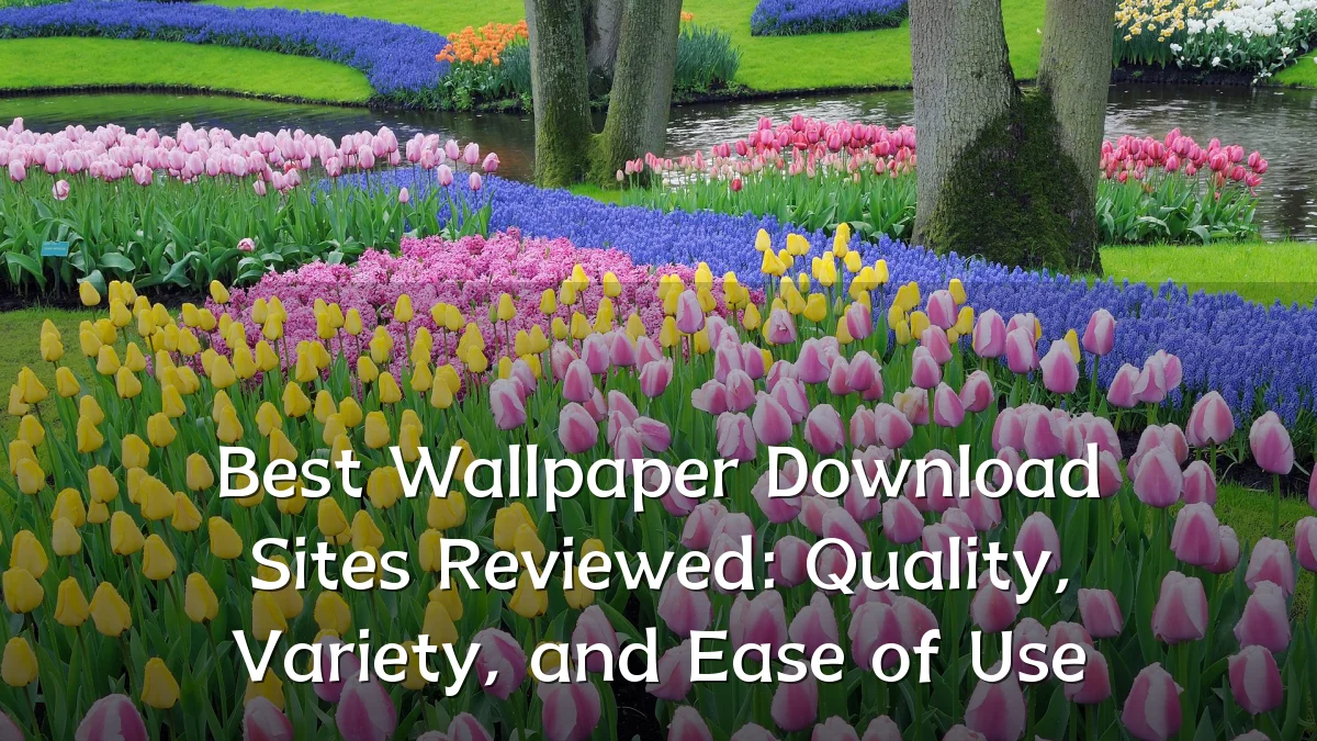 Best Wallpaper Download Sites Reviewed: Quality, Variety, and Ease of Use