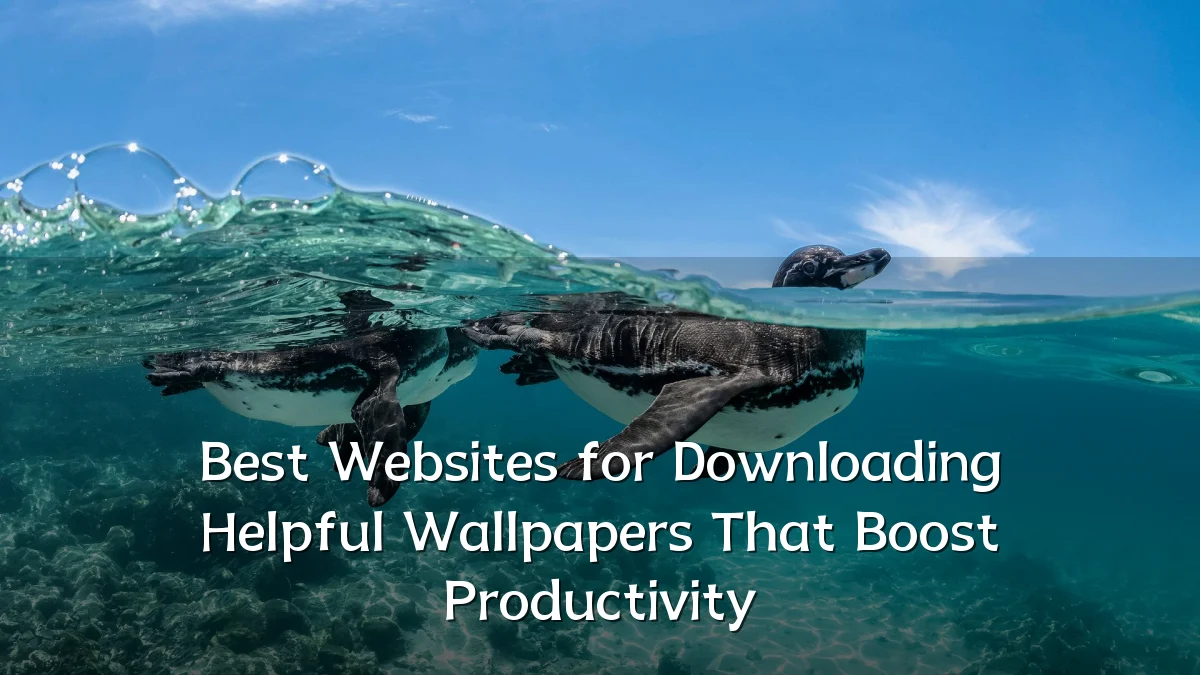 Best Websites for Downloading Helpful Wallpapers That Boost Productivity