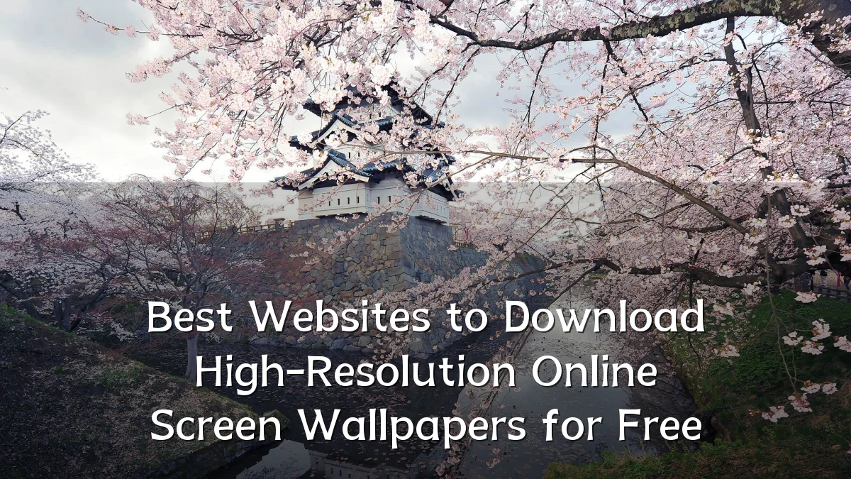 Best Websites to Download High-Resolution Online Screen Wallpapers for Free