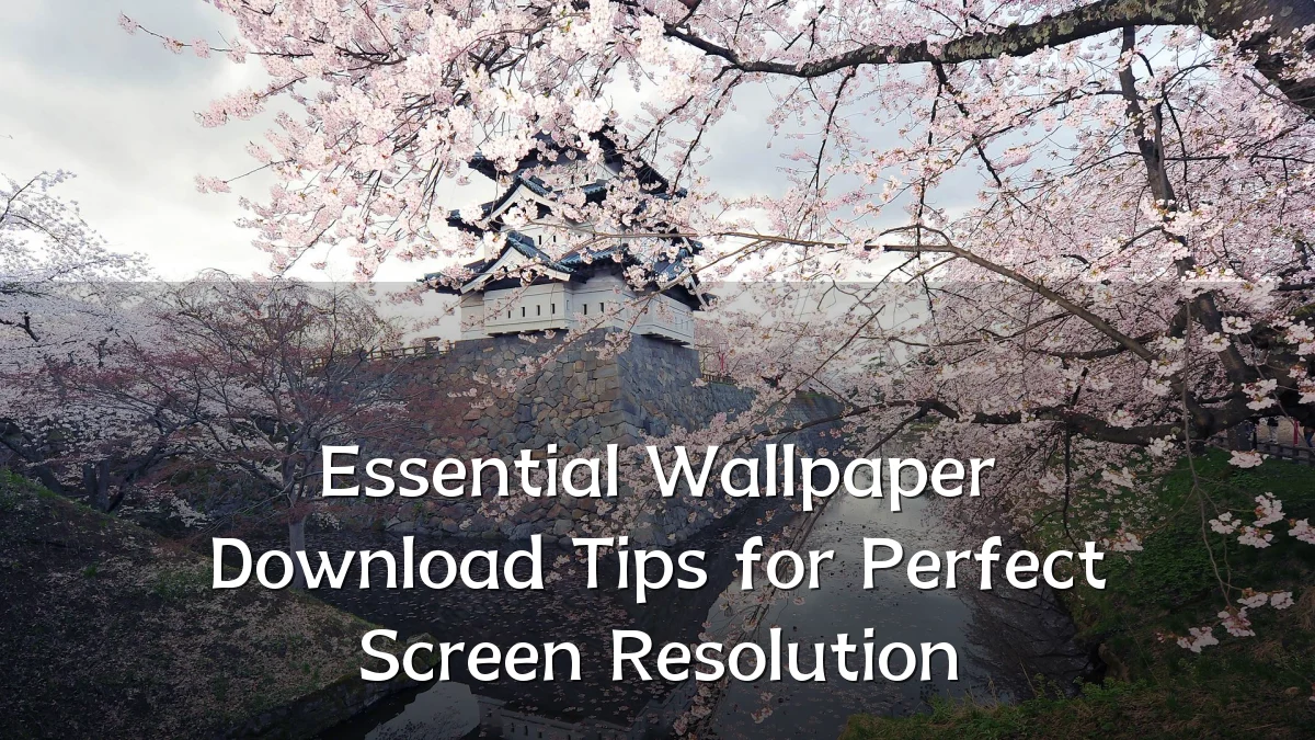 Essential Wallpaper Download Tips for Perfect Screen Resolution