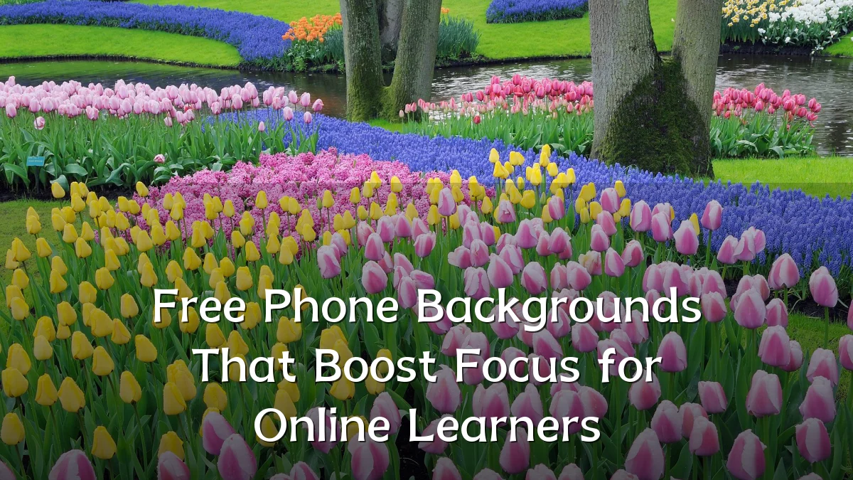 Free Phone Backgrounds That Boost Focus for Online Learners